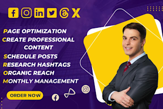 do professional social media marketing, schedule posts and monthly management
