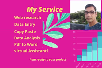 do data entry copy paste excel database management