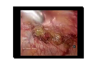 offer professional medical editing services