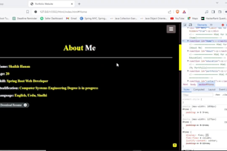 do your HTML CSS javascript frontend angular development debugging