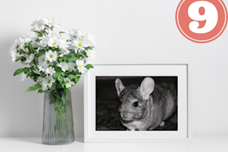 create wall art mockups with image or photo for etsy