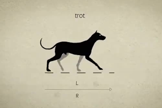 make cute anime dog, cat, dragon, fox animation in japanese anime style