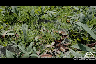 do your 3d environment