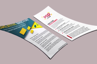 do professional digital marketing and social media promotion