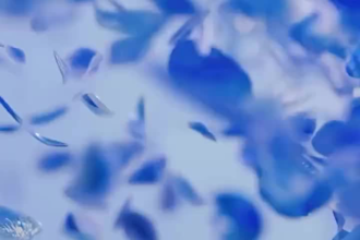 do 3d plant vfx 3d flower animation flower vfx 3d water simulation 3d simulation