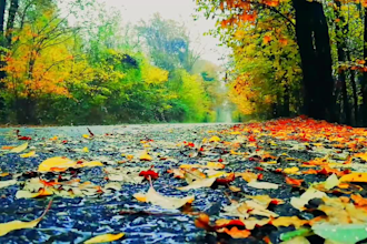 make 4k meditation nature music video and relaxing video