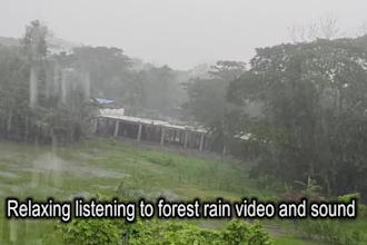 meditation music rain video for a youtube channel