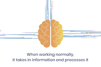 create a professional explainer video for your business