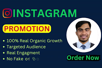 do instagram promotion for organic growth