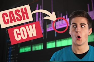 do cashcow video professionally with in 24hours