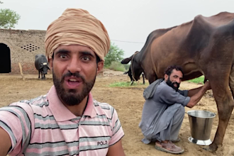 wish funny happy birthday video or african happy birthday video