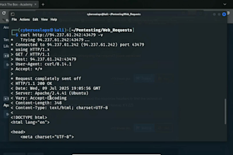 craft expert cybersecurity project reports, tasks, and labs