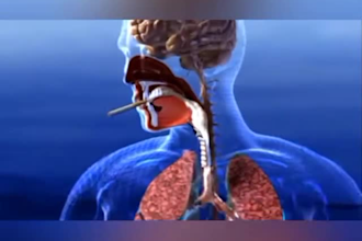 do 3d medical  animation 3d medical device animation video 3d surgery