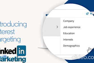 provide professional digital marketing for business growth