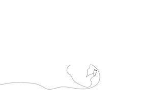 draw colorful continuous line art animation explainer videos