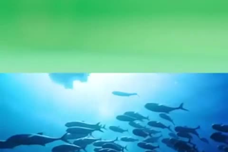 premium music video vfx compositing cgi animation green screen effects