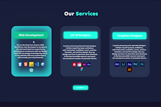 professional website designer for stunning online presence