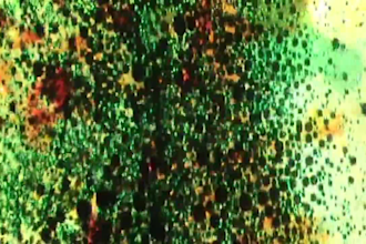create a liquid light show video for whatever you need