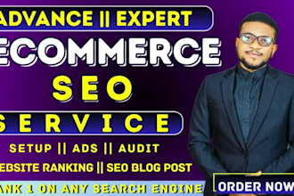 do advance ecommerce SEO, website promotion to improve ranking sales and traffic