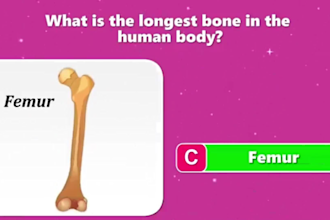 create quiz trivia for youtube shorts, or tiktok