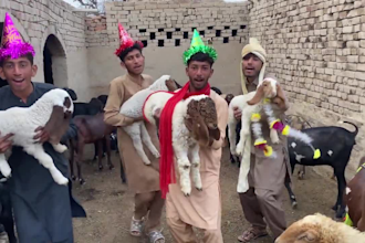 do crazy african happy birthday video or indian spokesperson