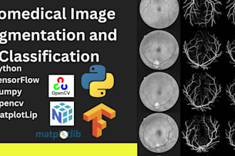 do biomedical image analysis using ai