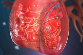 create 3d medical explainer video 3d medical animation 3d cgi medical animation