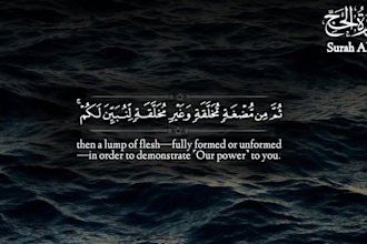 do professional quran recitation any subtitle free copyright