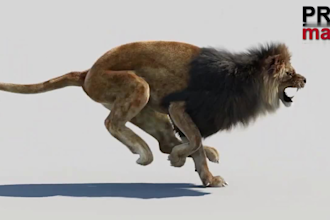 do cgi animal model, 3d animal animation, 3d animal rigging, xgen fur, vfx