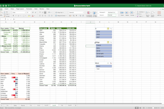 do excel data entry, formulas,pivot tables and visualization