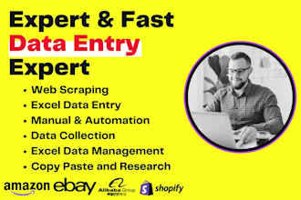 expert web scraping and data extraction from any website