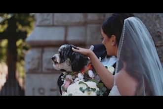 do professional cinematic wedding video editing