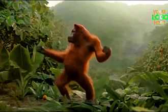 do funny monkey dancing animation with your music and text