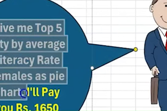 help in excel data analysis,pivot table,graphs