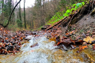 create relaxing nature video rain and walking for youtube with natural sounds