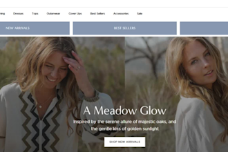 design profitable clothing shopify store website fashion store clothing website