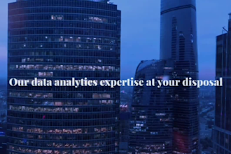 be the data analyst professional for your business