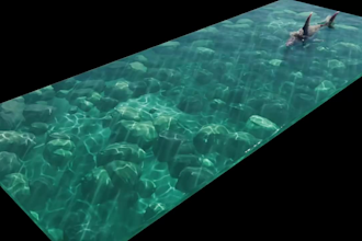 do 3d water simulation 3d liquid simulation vfx compositing 3d fluid simulation