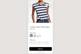 fix shopify mobile app development shopify public private app plugin shopify b2b