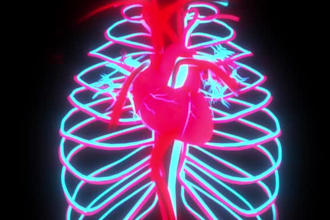 do 3d hologram animation, 3d holographic fan for human anatomy