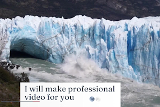 make a professional video for you