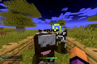 create you a custom minecraft plugin