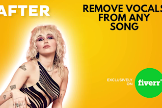 remove vocals from any song under 2h, karaoke, instrumental