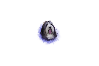 draw best illustration of your pets in watercolor art