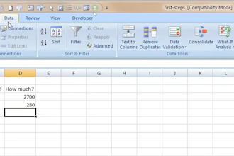 do fast and accurate data entry in excel and ms word