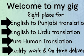 do professionally translate english to punjabi,  urdu and vice versa