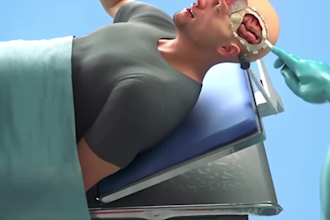create advanced 3d medical animation and realistic organ modeling