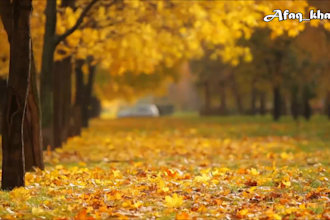 create 10 relaxing meditation nature music video for youtube