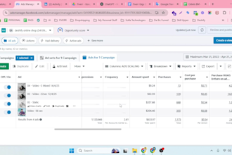run a 100k per month shopify dropshipping facebook ads campaign