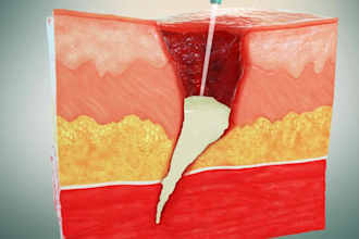 create a stunning 3d medical, biological and surgical animation